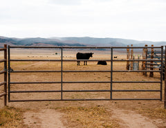 HD 14G Gates