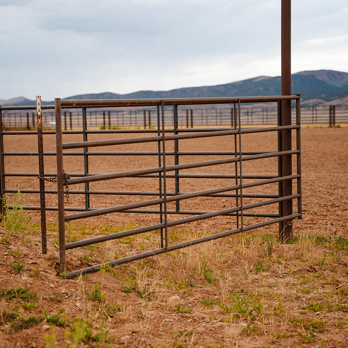 18G Pasture Gates