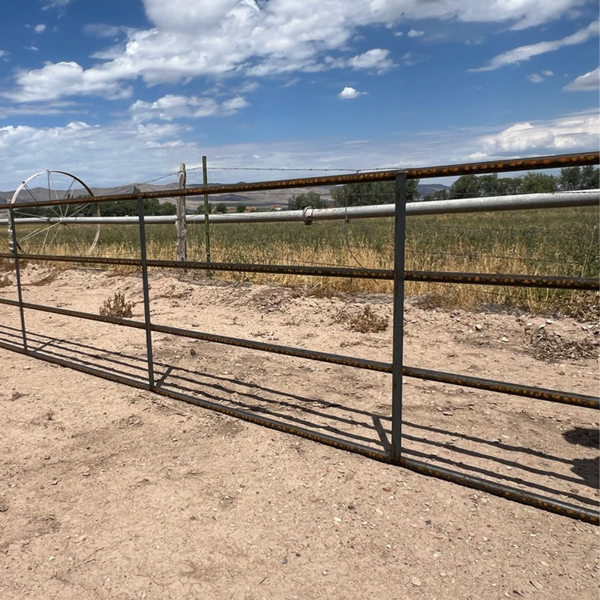 1-1/4" Continuous Fence