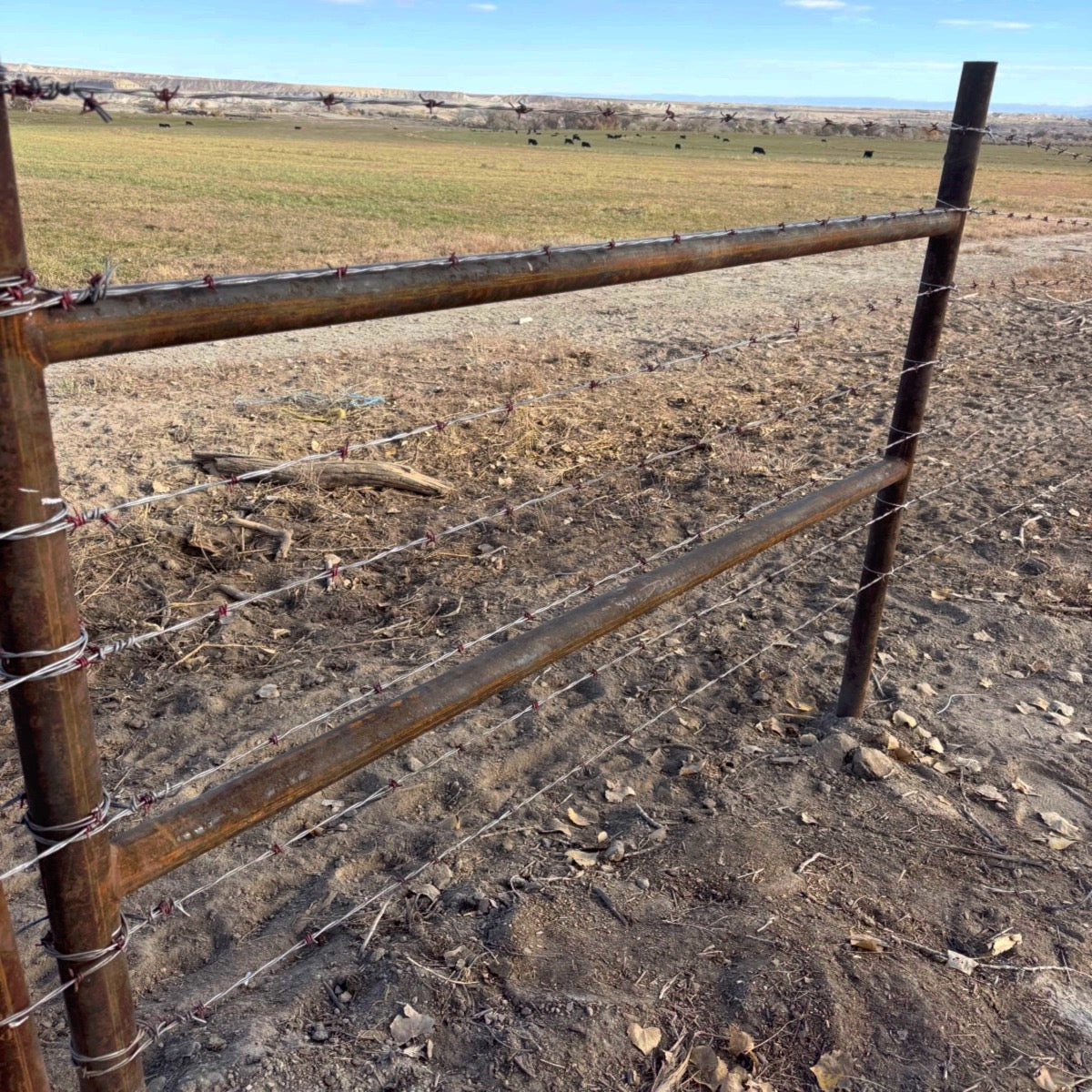 HD H-Braces with Dual Rails