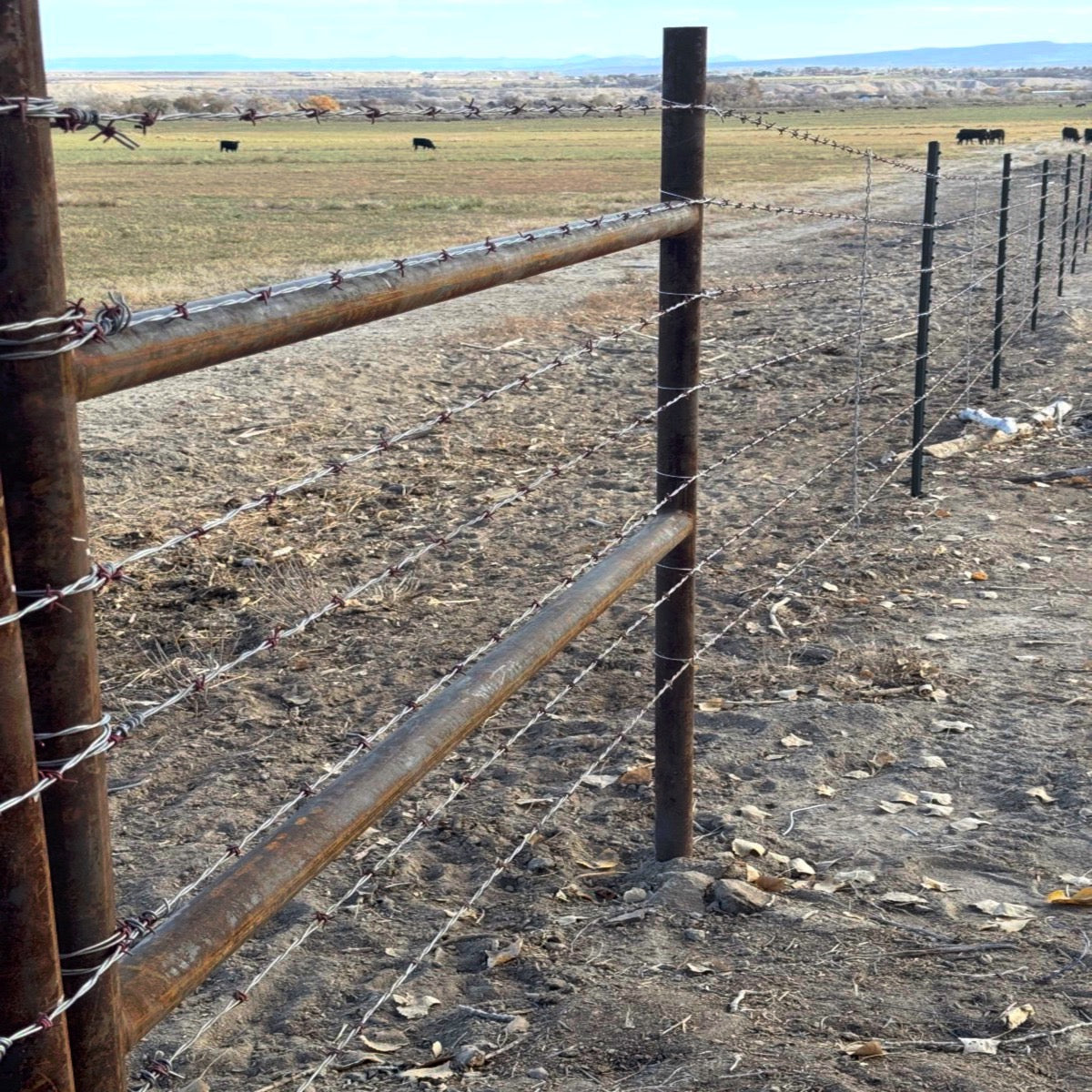 HD H-Braces with Dual Rails