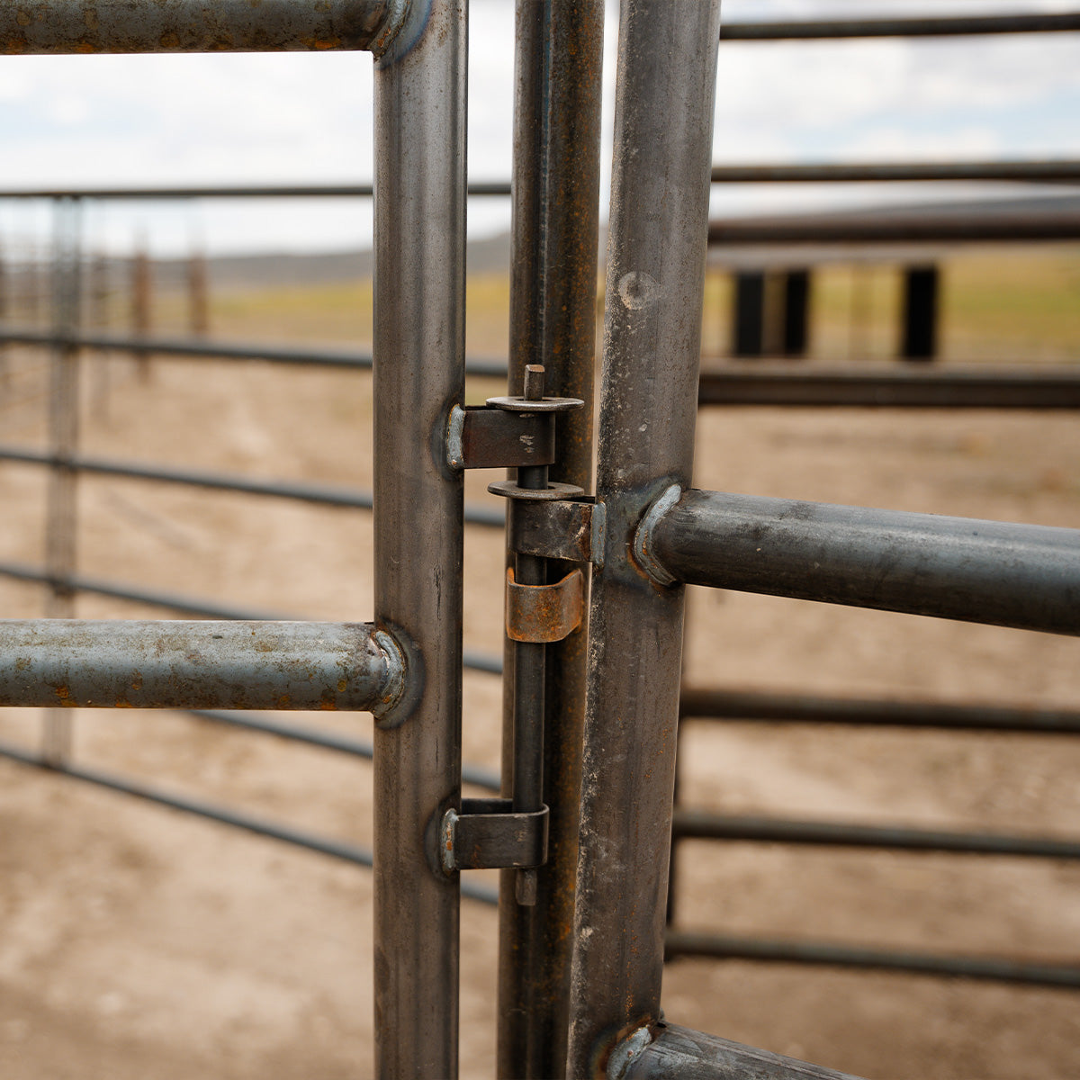 Drop Pin – 10″ (Corral Pin for Livestock Panels & Gates)
