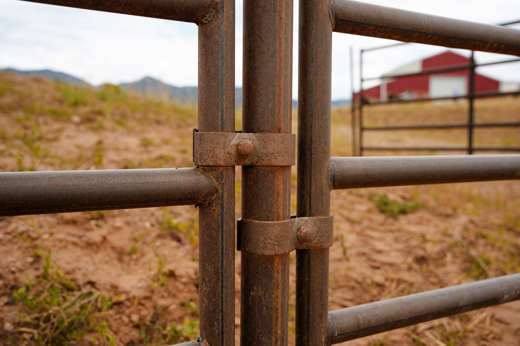 Panel Clamps | Secure Panels, Gates & Drill Pipe