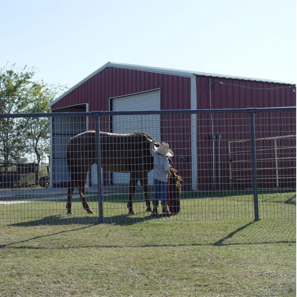 Utility Wire Panel, 60"x16'  6g 4"x4" spacing