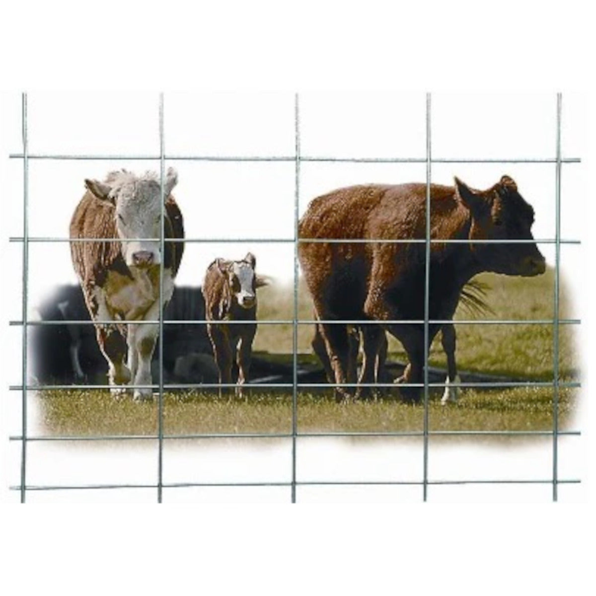 Utility Wire Panel, 50"x8' 4G 10-Line