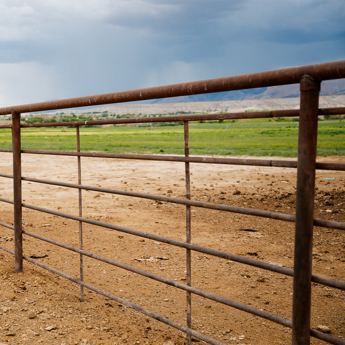 1-1/4" Continuous Fence
