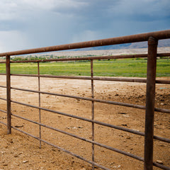 1-1/4" Continuous Fence