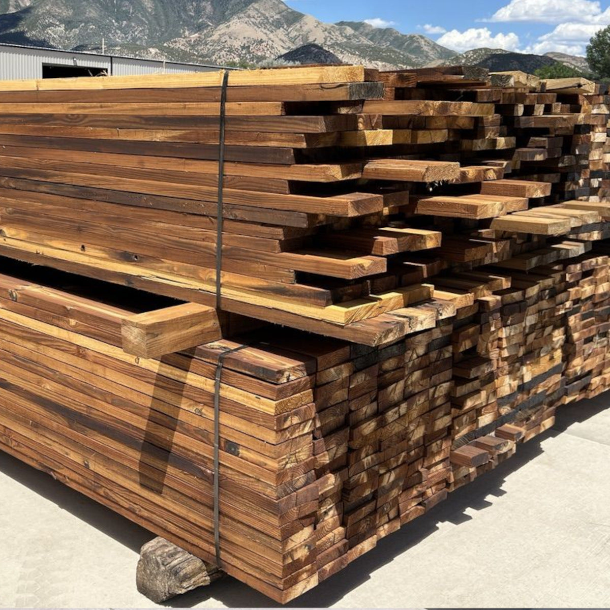 Creosote Board