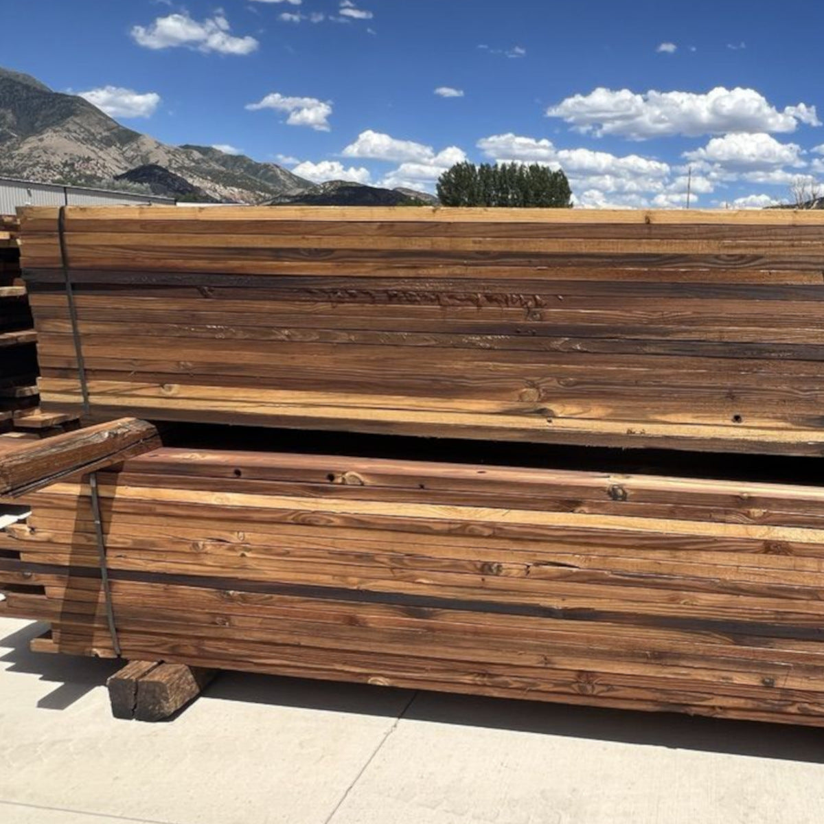 Creosote Board